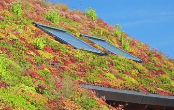 Dumfries And Galloway living roof systems